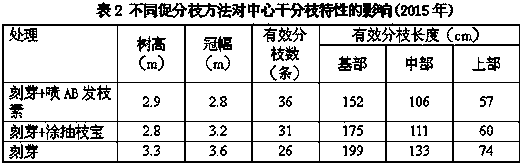 A method for promoting multiple shoots in the center of arbor sweet cherry