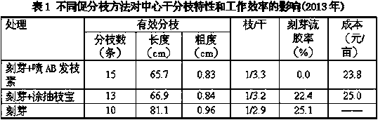 A method for promoting multiple shoots in the center of arbor sweet cherry