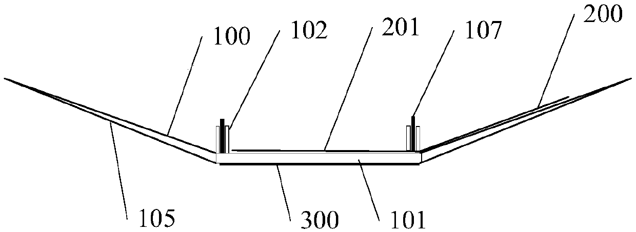 Rapid detection device and detection method for organic pesticide residues in agricultural products