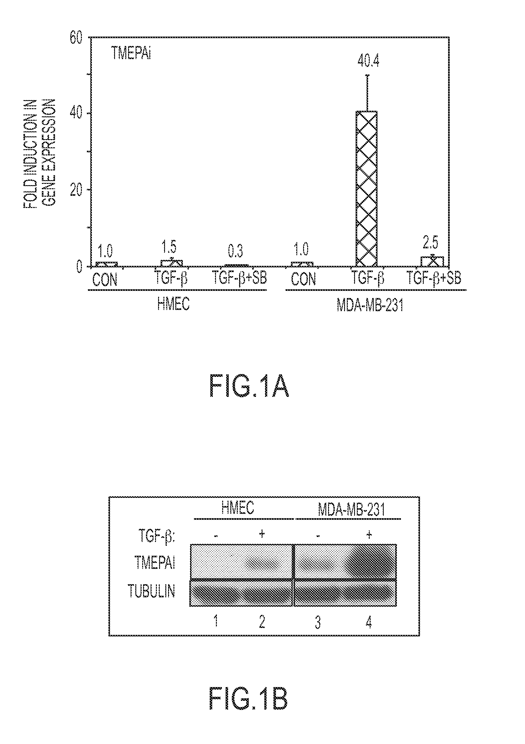 Methods for classifying a cancer as susceptible to tmepai-directed therapies and treating such cancers