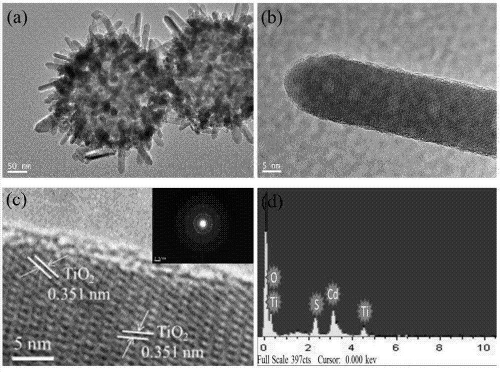 Preparation and application of dendriform TiO2-coating CdS hollow double-shell material