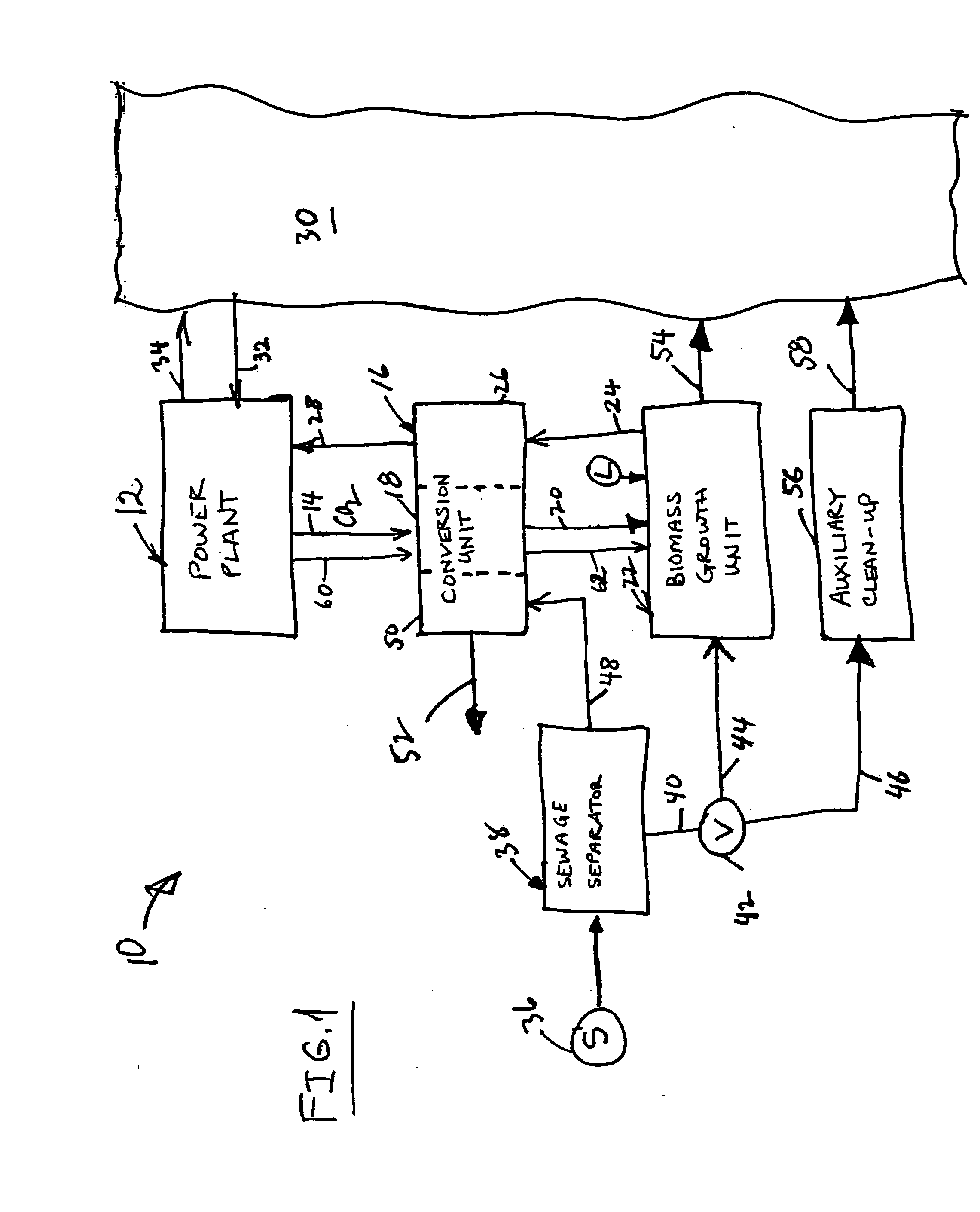 Integrated power plant, sewage treatment, and aquatic biomass fuel production system