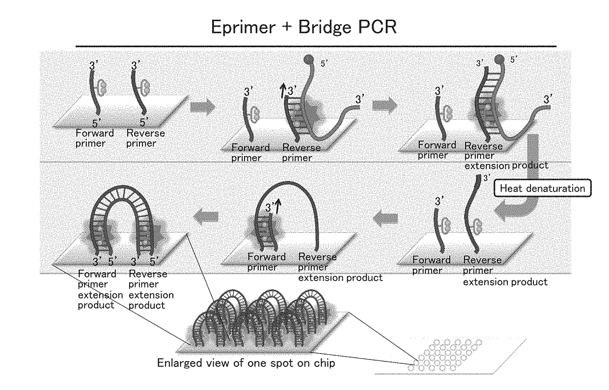 Method for analyzing target nucleic acid, kit, and analyzer