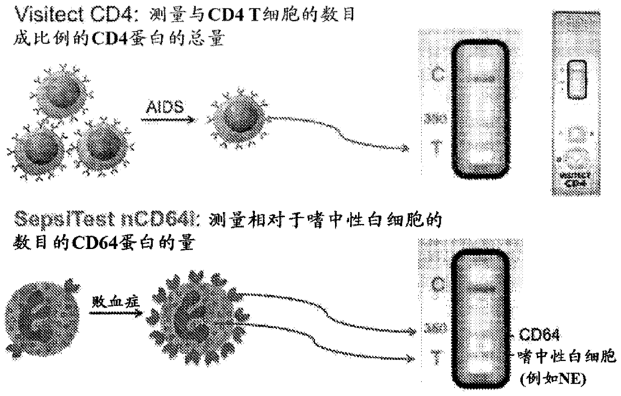 Estimating cellular populations