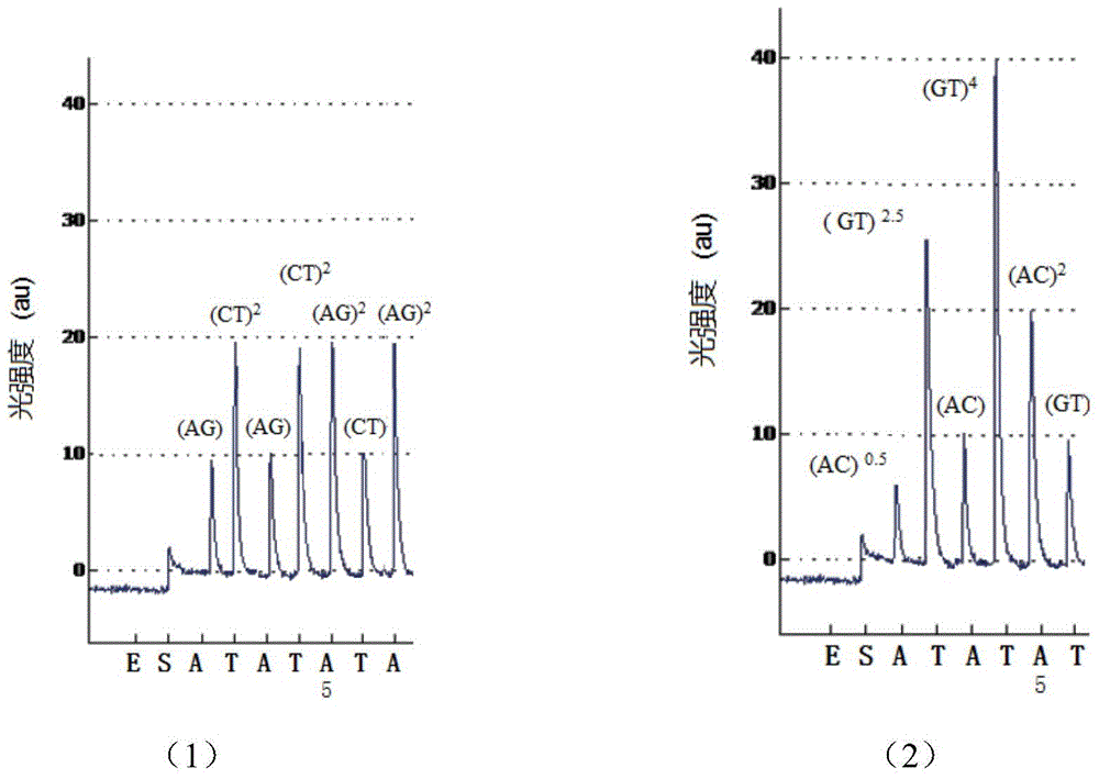 Two-nucleotide synthetic sequencing analysis method for multi-template PCR product