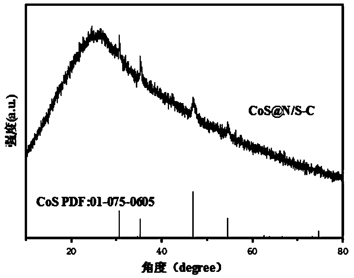 Cobalt-sulfur compound/nitrogen-sulfur-doped carbon composite catalyst and preparation method thereof