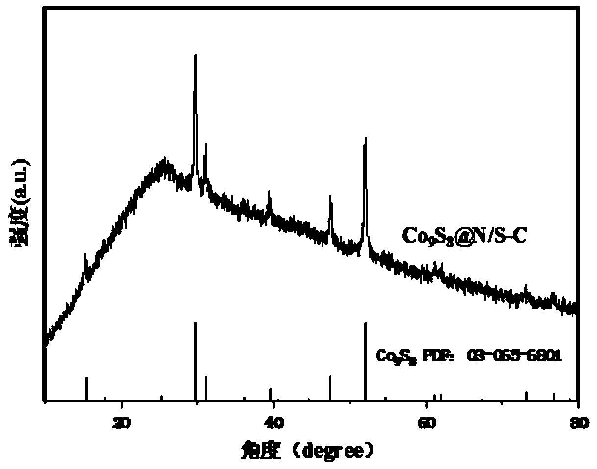 Cobalt-sulfur compound/nitrogen-sulfur-doped carbon composite catalyst and preparation method thereof