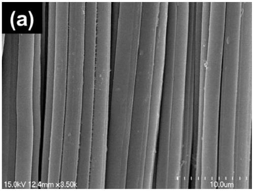 Co3O4 nano-structure microbial composite material based on flaky flexible carbon cloth and preparation method and application thereof