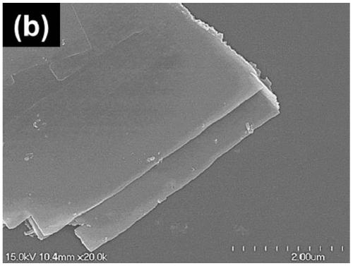 Co3O4 nano-structure microbial composite material based on flaky flexible carbon cloth and preparation method and application thereof