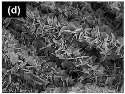 Co3O4 nano-structure microbial composite material based on flaky flexible carbon cloth and preparation method and application thereof