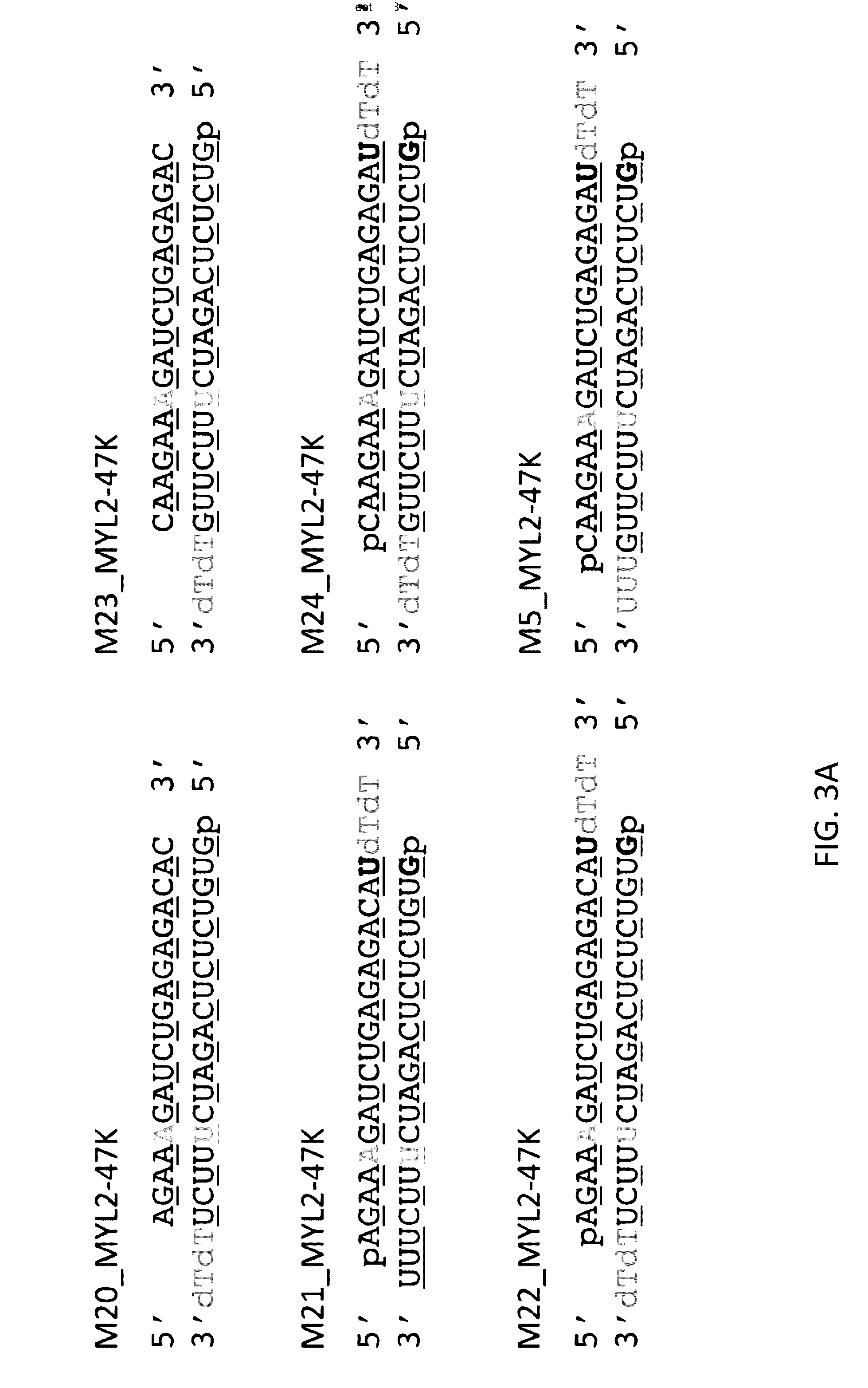 Oligonucleotides and Methods for Treatment of Cardiomyopathy Using RNA Interference