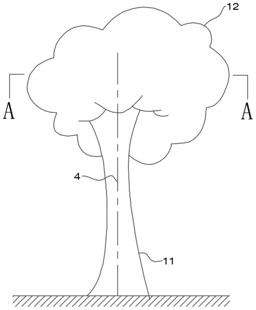 Method for determining optimal planting surface of foliage arbor by bisection method and positioning device