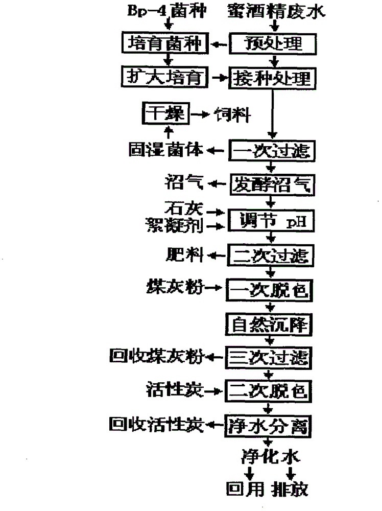 Method for removing pigment of molasses alcohol wastewater by using biotechnology