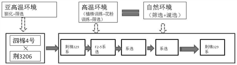 A kind of breeding method of high temperature resistant cotton