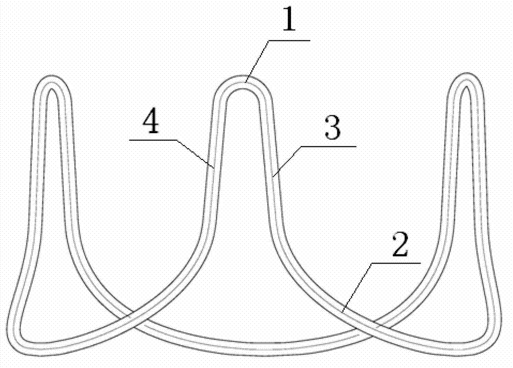 Heart valve prosthesis and valve stent thereof