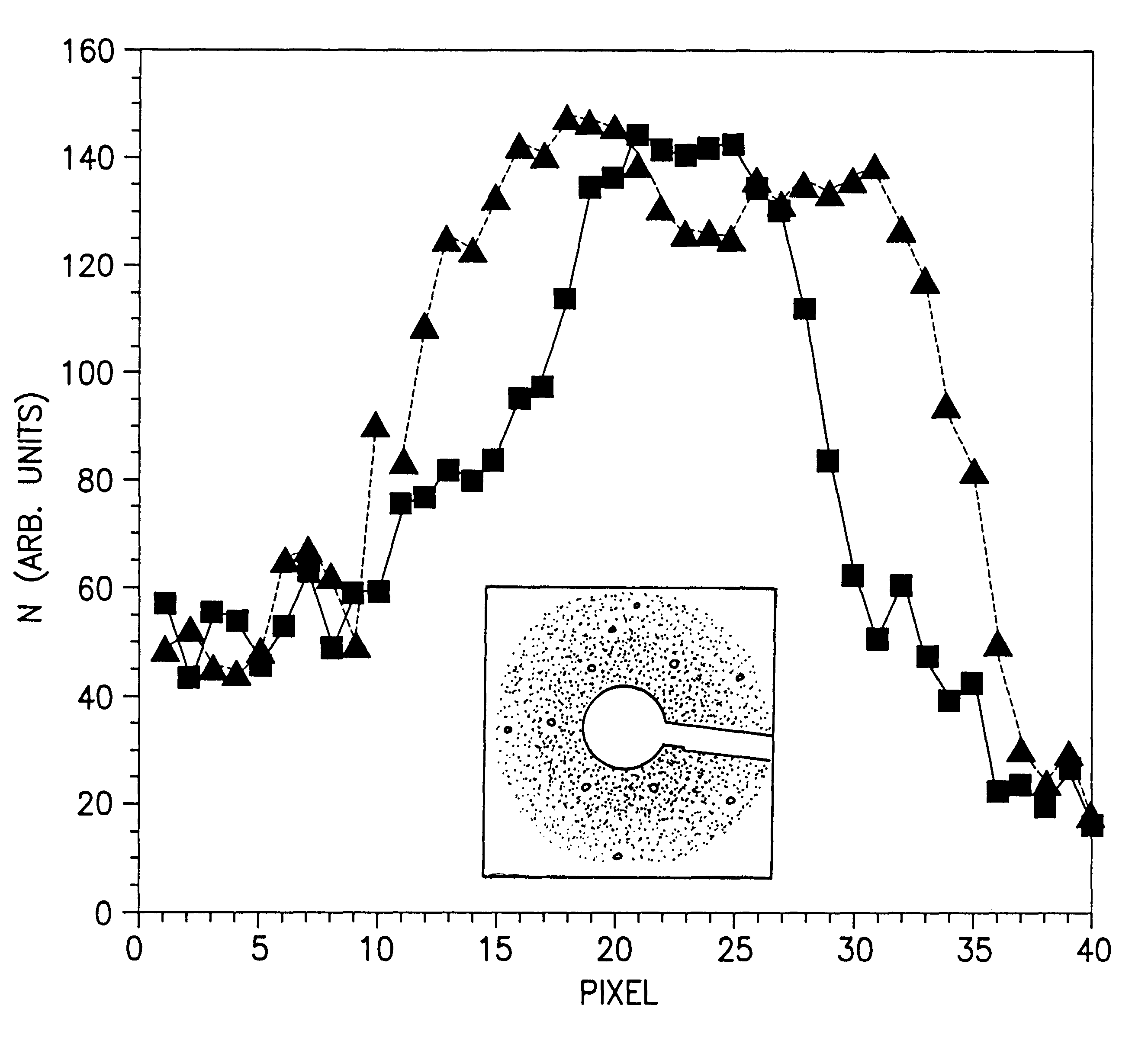 Silicon carbide epitaxial layers grown on substrates offcut towards &lt;1{overscore (1)}00&gt;