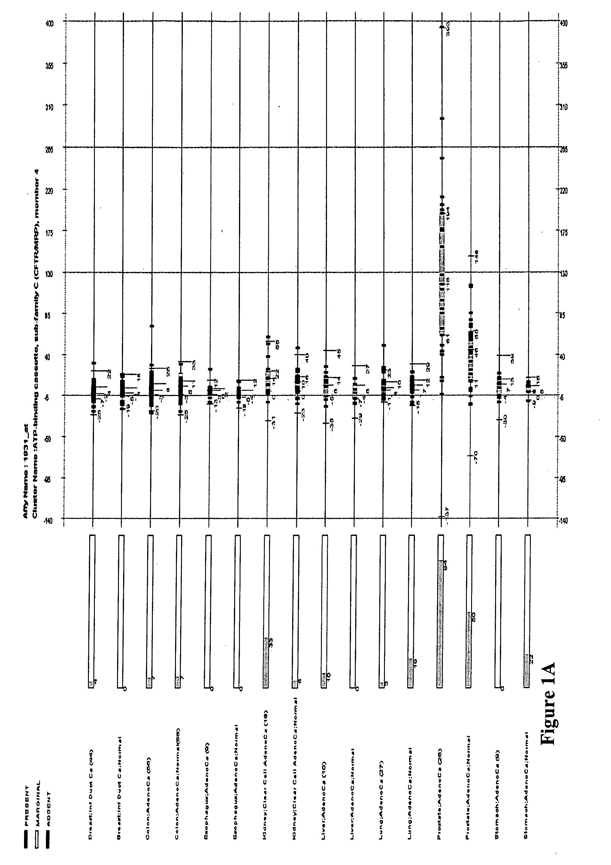 Compositions and methods for diagnosing and treating cancers