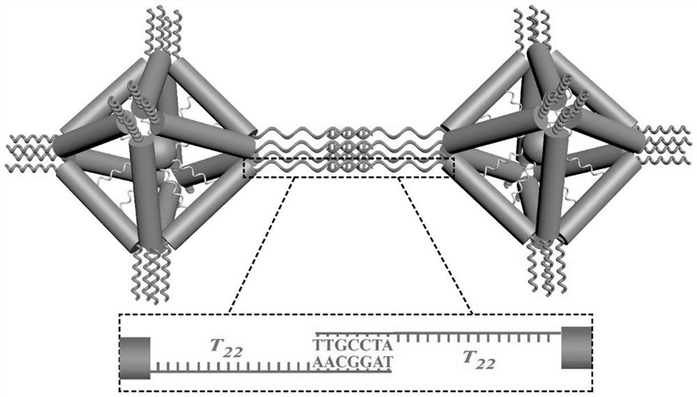 Method for guiding nanoparticle superlattice by using DNA origami and DNA tiles