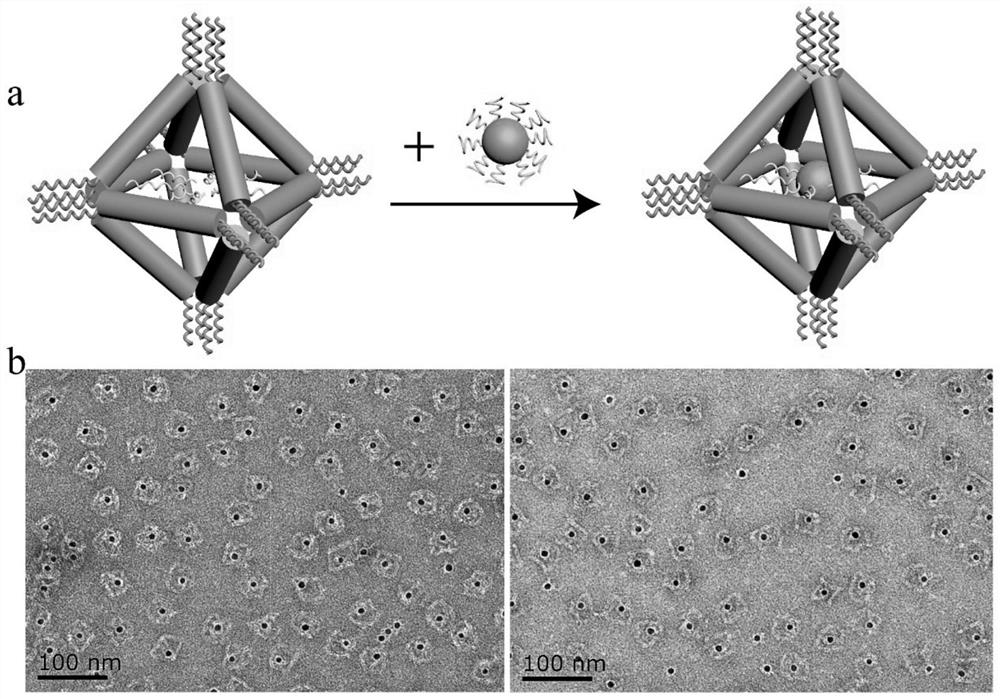 Method for guiding nanoparticle superlattice by using DNA origami and DNA tiles