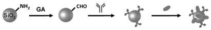 An electrochemical immunosensor based on Prussian blue and an electrochemical immunosensing method and application based on the sensor