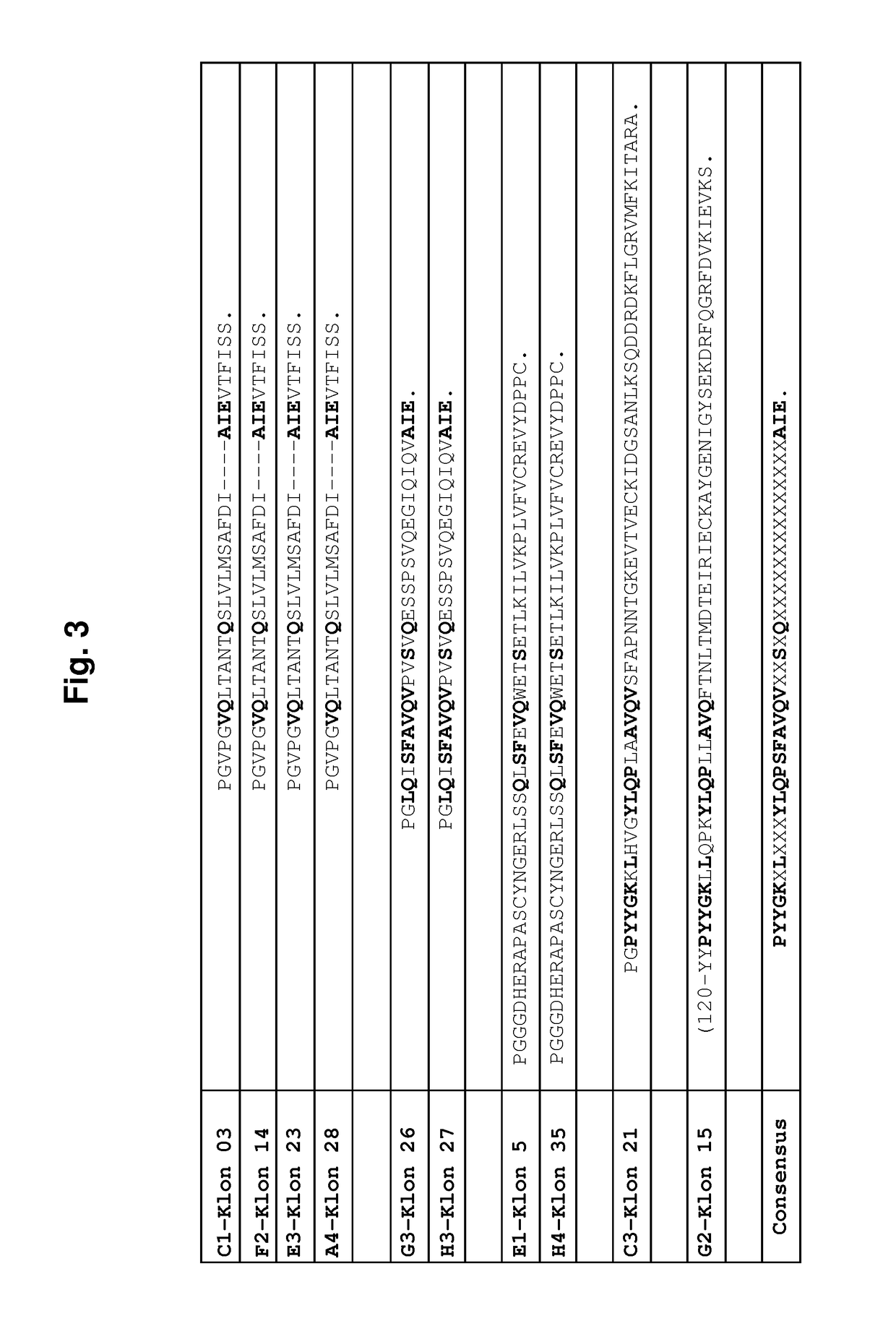 Cd44 binding peptides