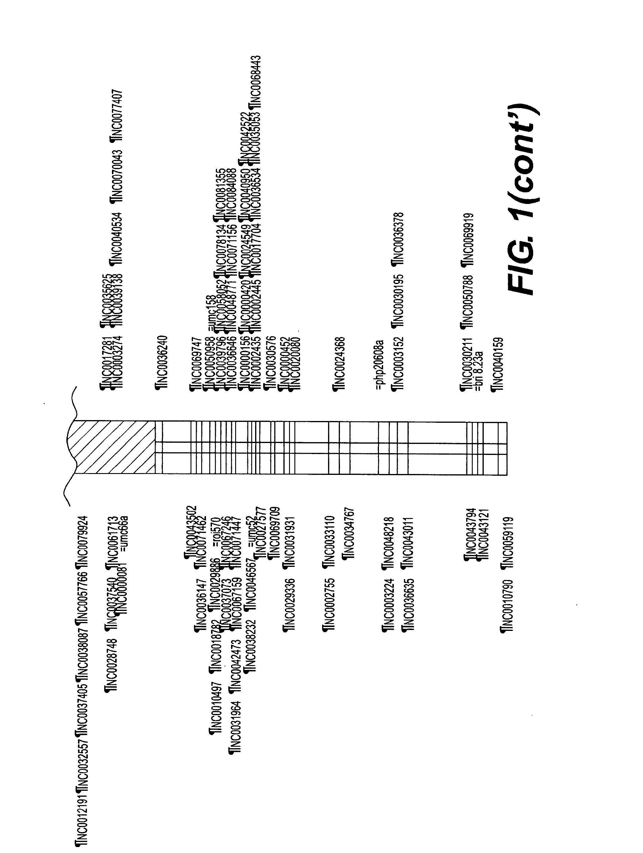 Compositions and Methods of Plant Breeding Using High Density Marker Information
