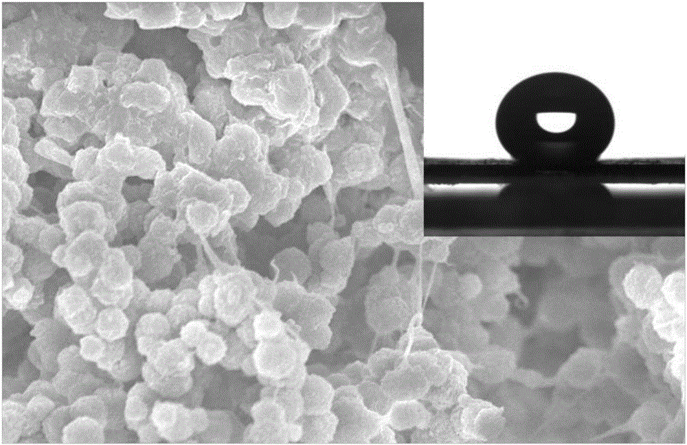 Preparation method of super-hydrophobic PVDF (polyvinylidene fluoride) membrane