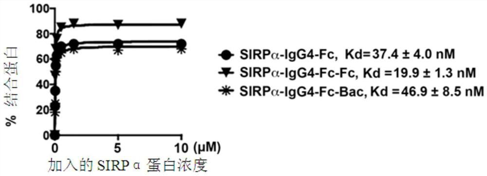 A kind of sirpα fusion protein and preparation method and use thereof