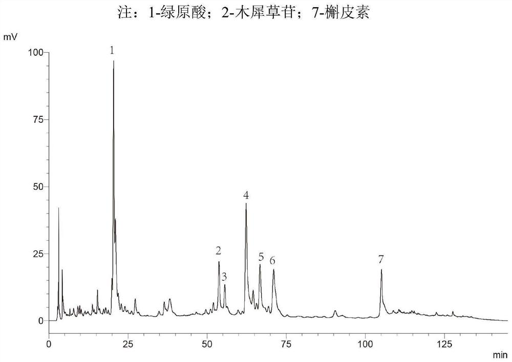 Detection method of mint fresh tea fingerprint spectrum