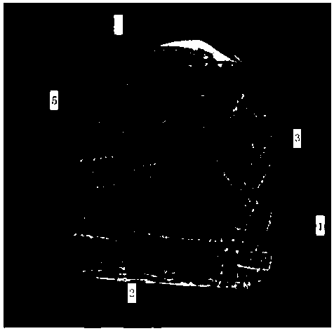 Fingerprint quality evaluation method based on ridge quality expert visual cognitive machine learning