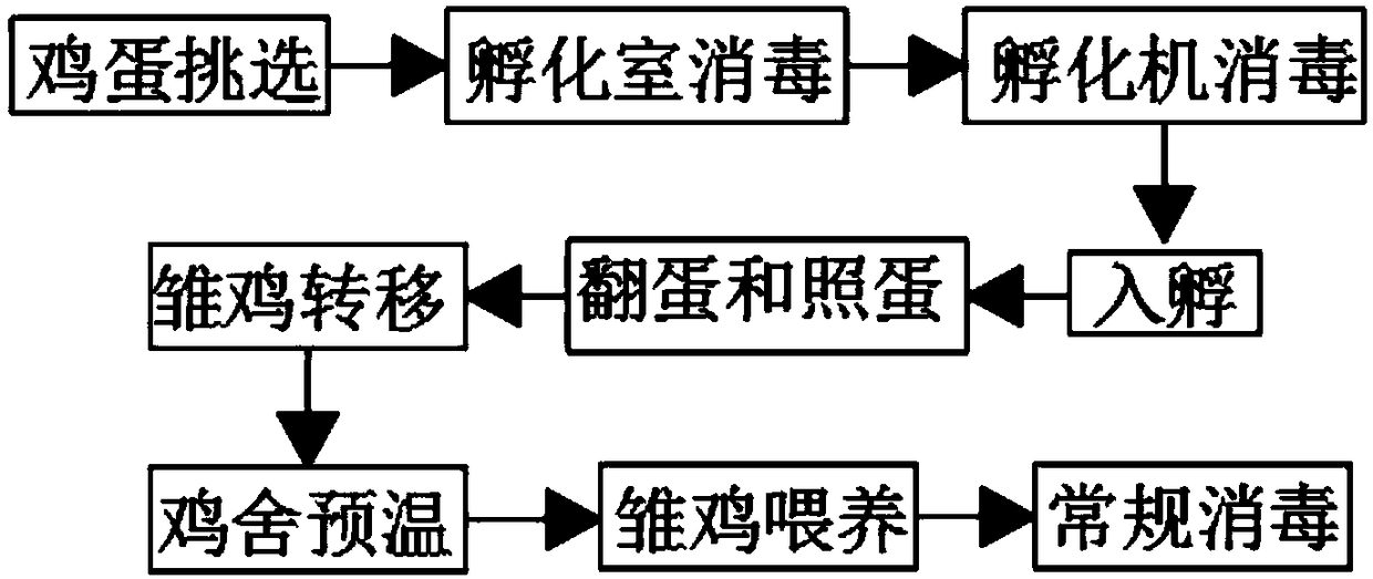 Method for high effective incubation and high quality breeding of ephedra chickens