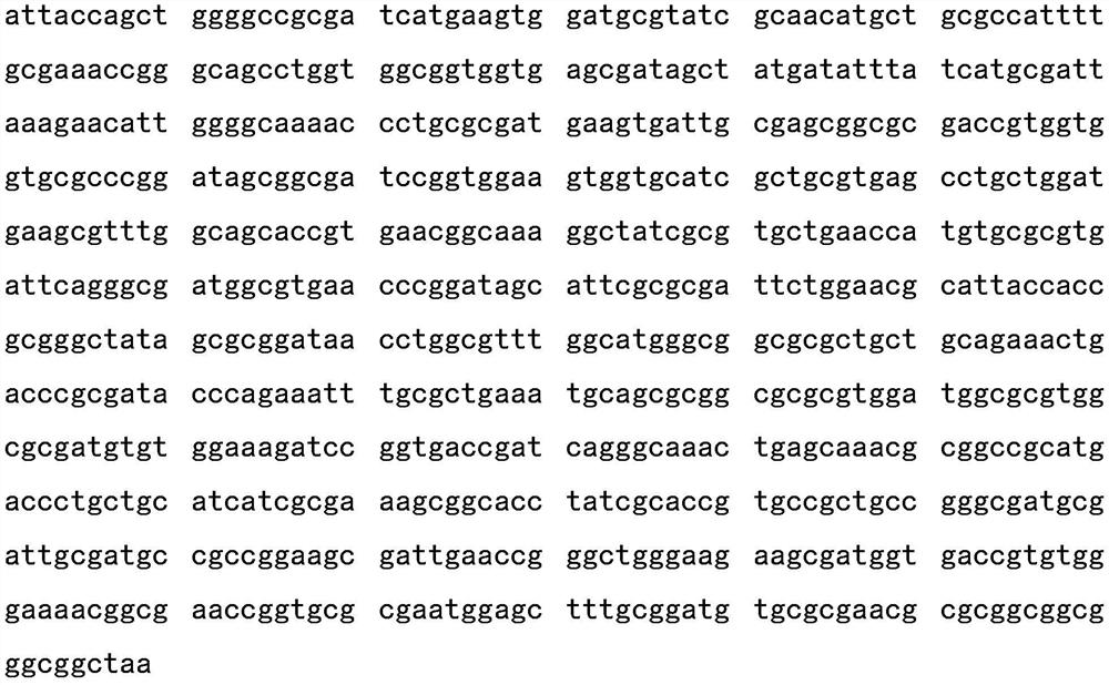 Nicotinamide ribose phosphate transferase for preparing NMN