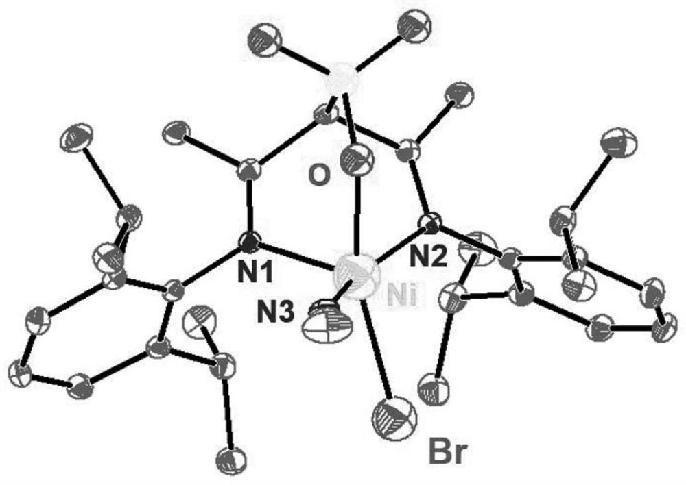 Alpha-sulfonic acid-beta-diimine nickel complex, preparation method and application of alpha-sulfonic acid-beta-diimine nickel complex in catalyzing olefin polymerization