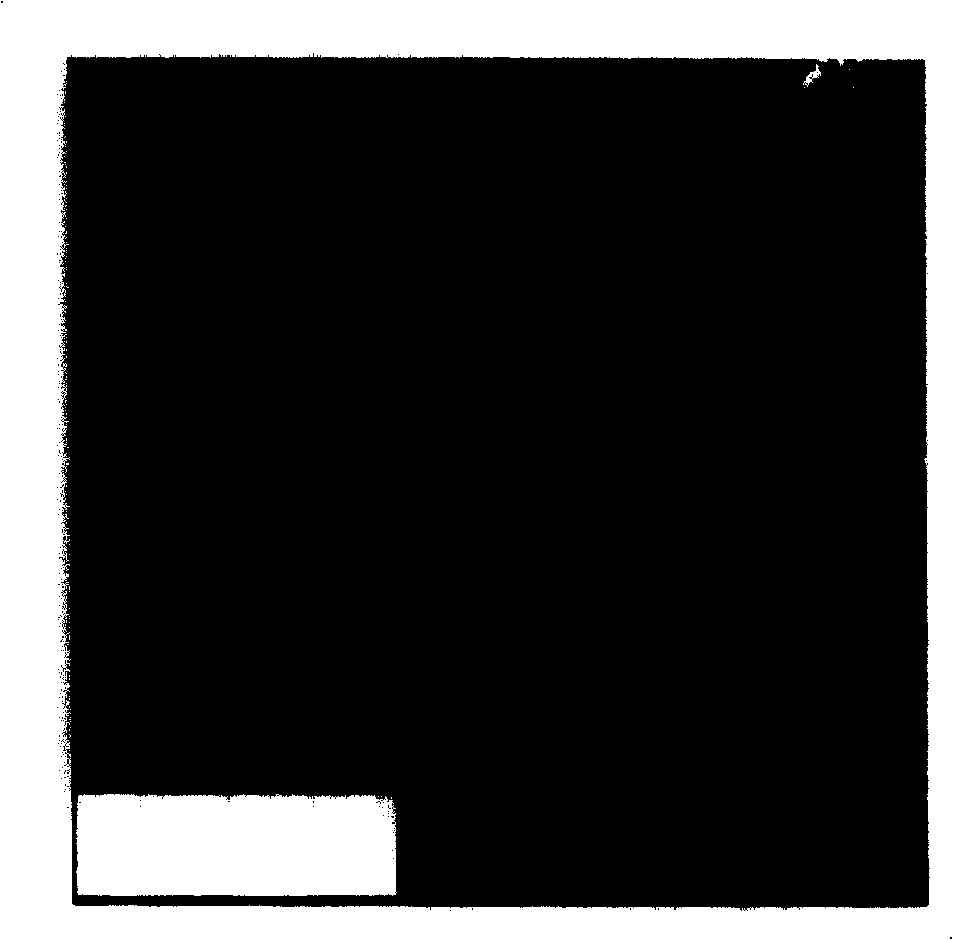 Modified liquid for filter paper of filter and its preparation method and use