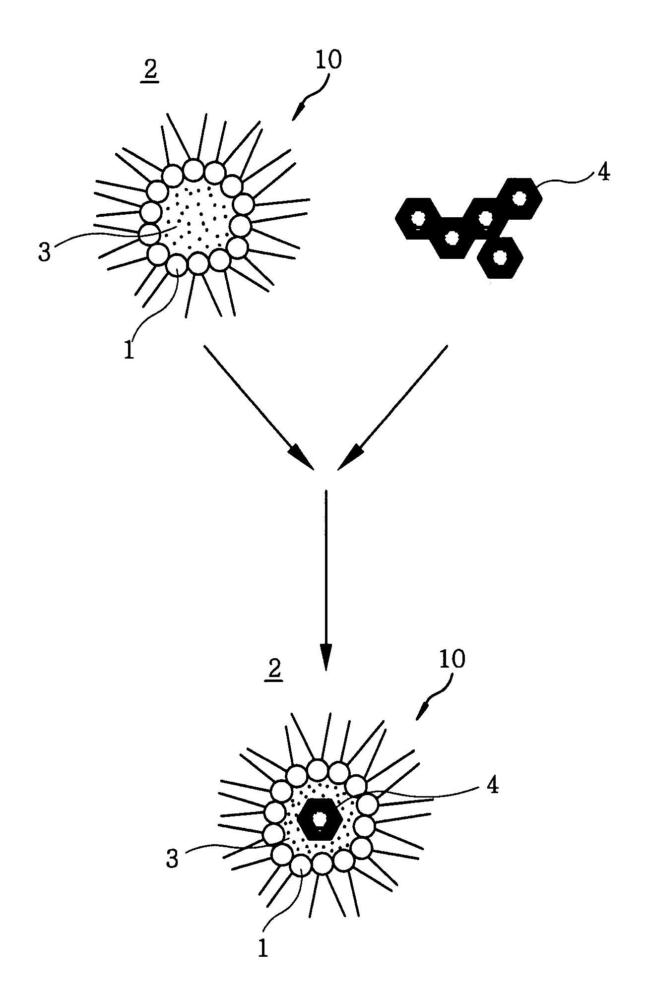 Dispersion of carbon nanoparticles and core-shell type carbon nanoparticles, and method of preparing the same