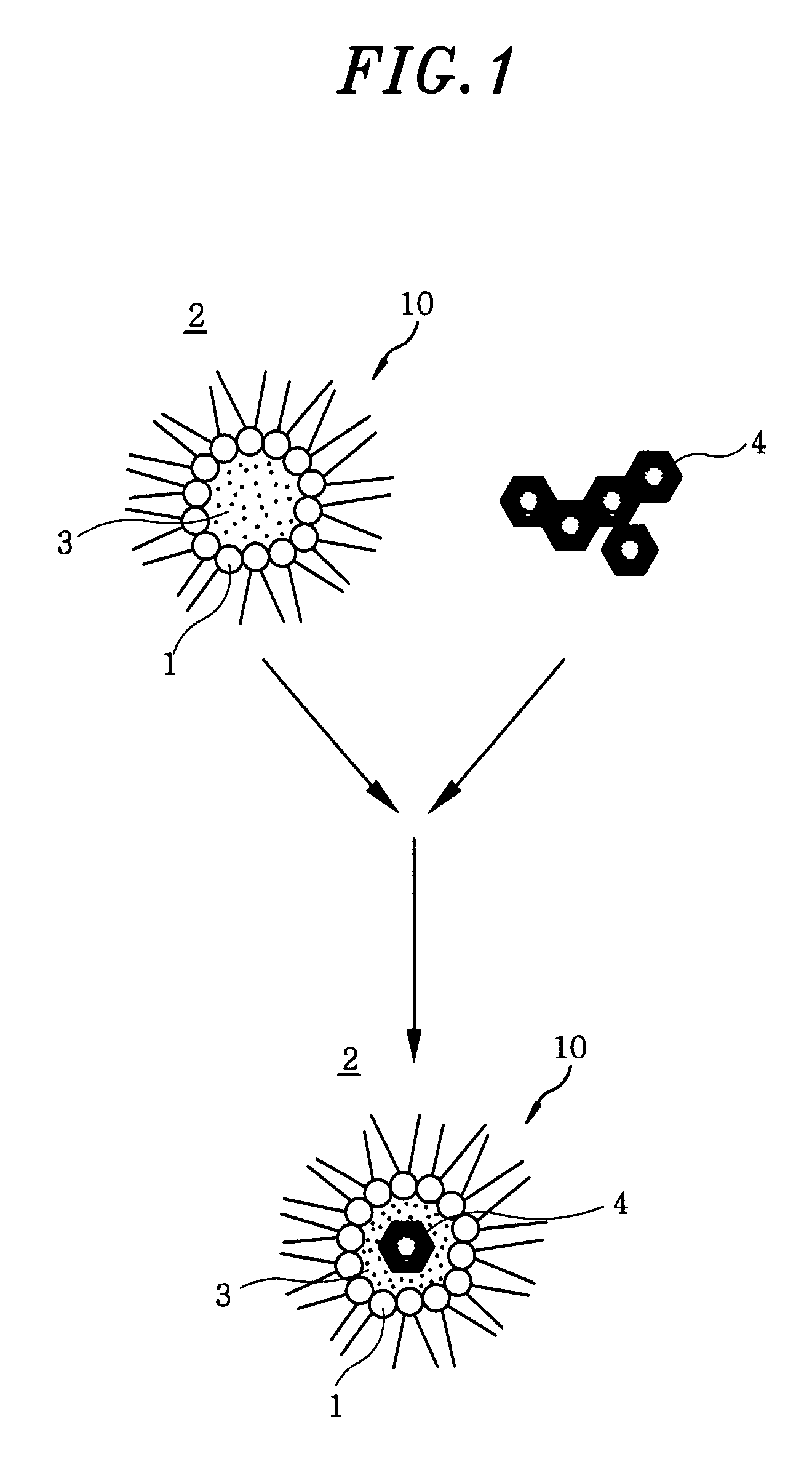 Dispersion of carbon nanoparticles and core-shell type carbon nanoparticles, and method of preparing the same