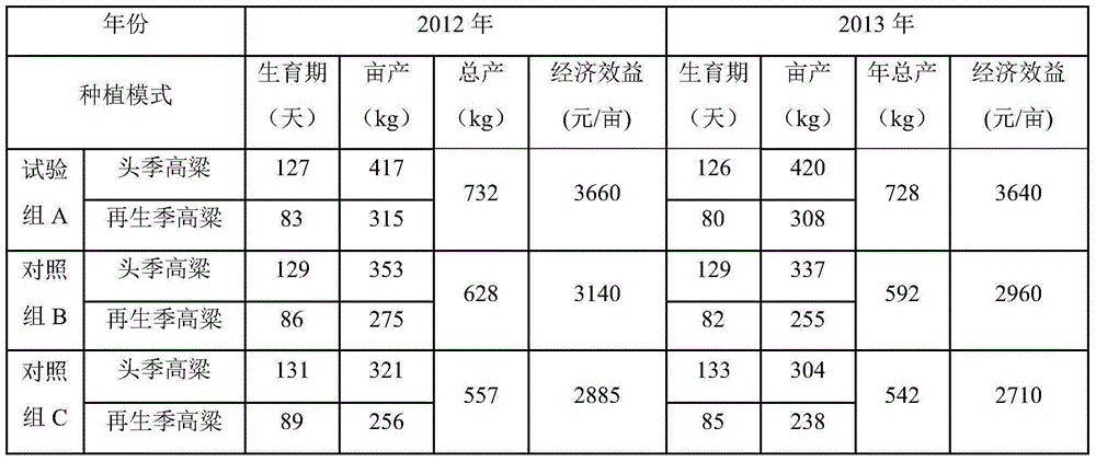 A high-yield and stable-yield cultivation method for double-season glutinous sorghum