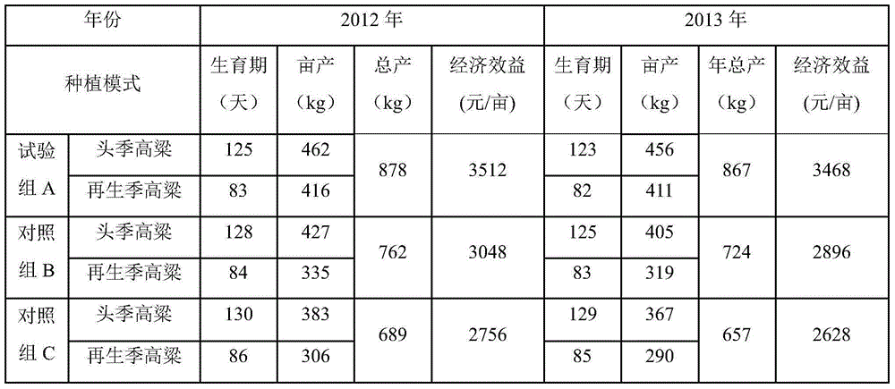 A high-yield and stable-yield cultivation method for double-season glutinous sorghum