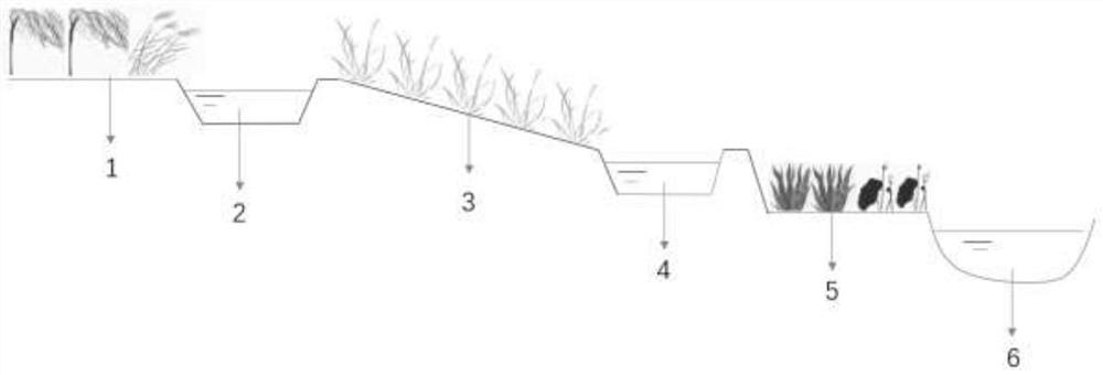 Ecological buffer zone with side-mounted bent wetland pond vegetation, and construction method of ecological buffer zone