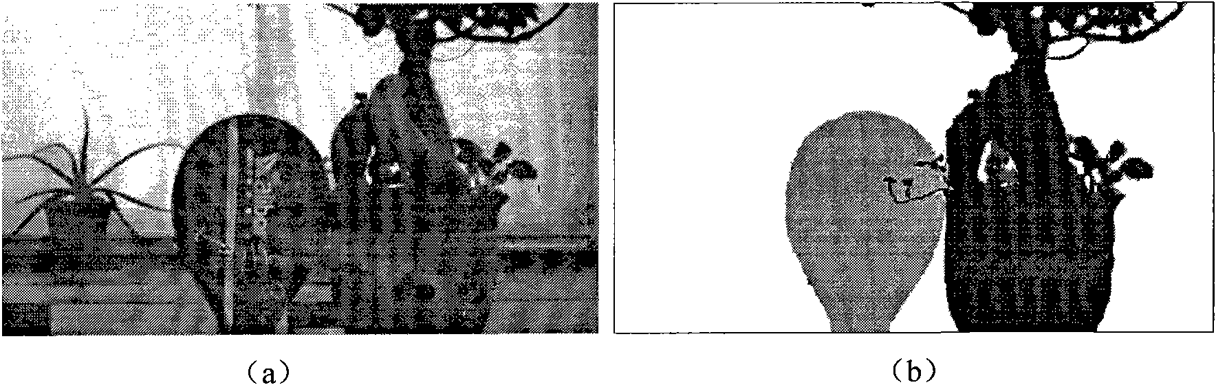 Method for generating virtual multi-viewpoint images based on depth image layering
