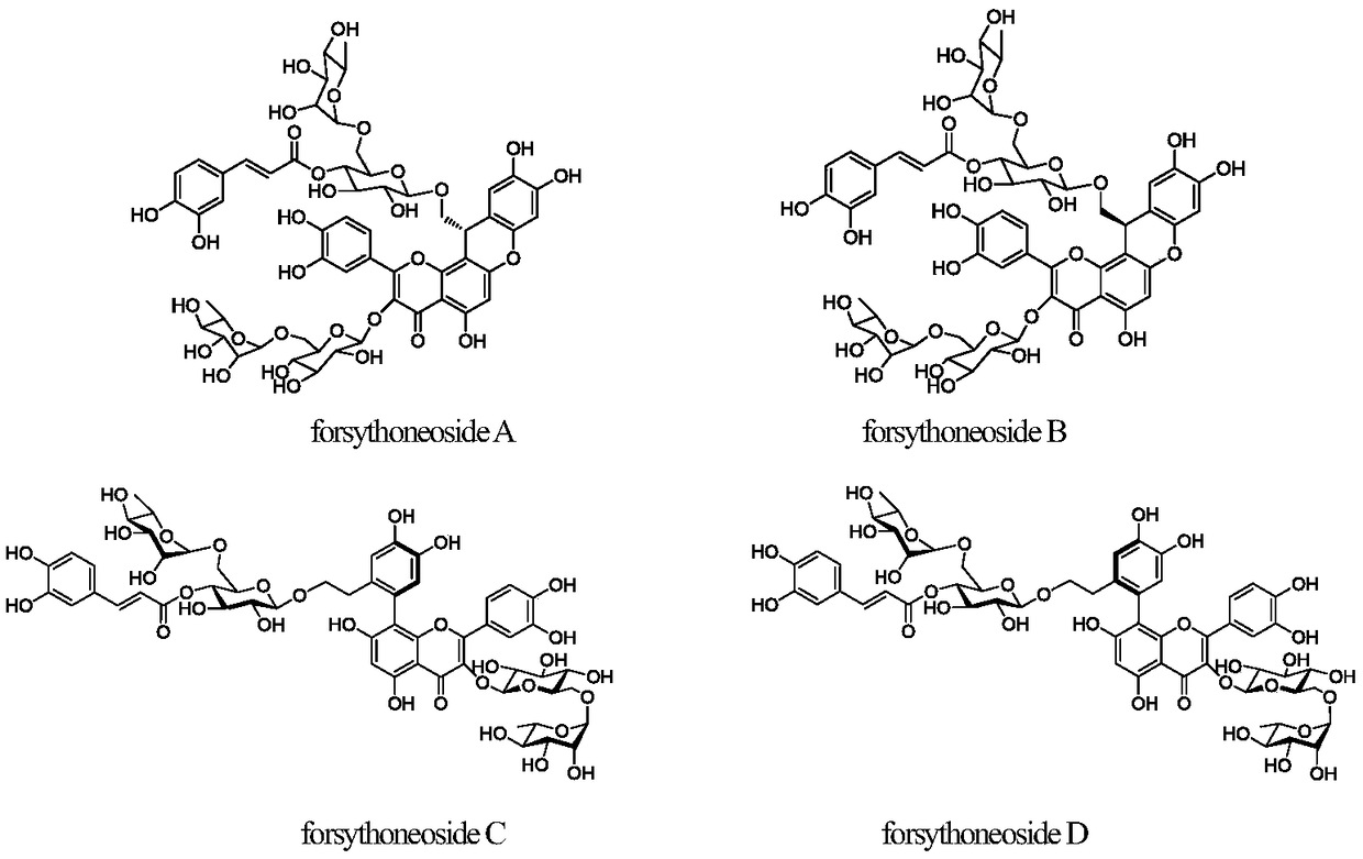 A class of compounds derived from forsythia, its preparation method and its application in the prevention and treatment of Parkinson's disease