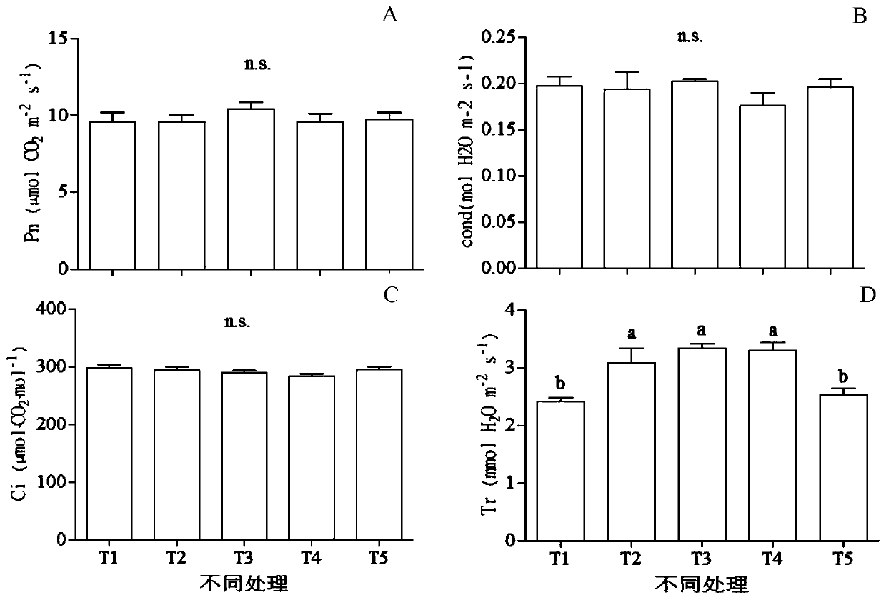 Exogenous gibberellin spica increase method of piper nigrum