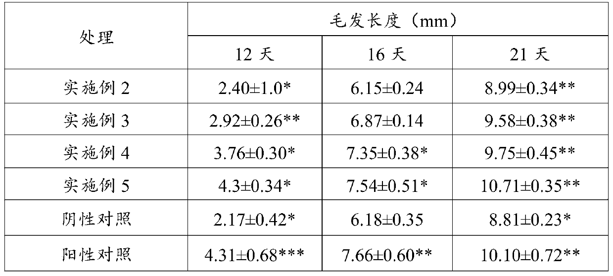 Gynostemma pentaphyllum plant extract solution and application thereof in preparation of medicine for promoting hair growth