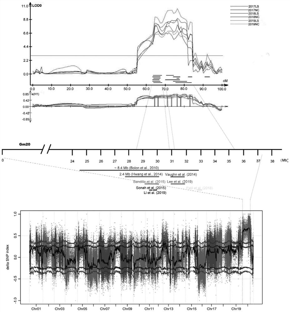 Molecular markers, screening methods, breeding methods and applications for screening soybean materials