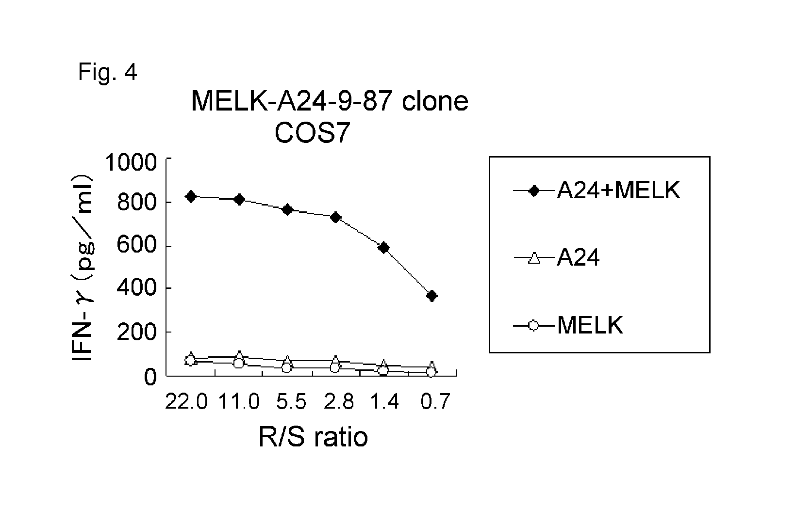 Modified MELK peptides and vaccines containing the same