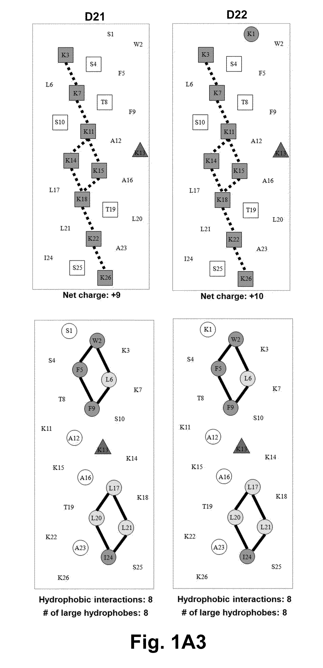 Antimicrobial peptides