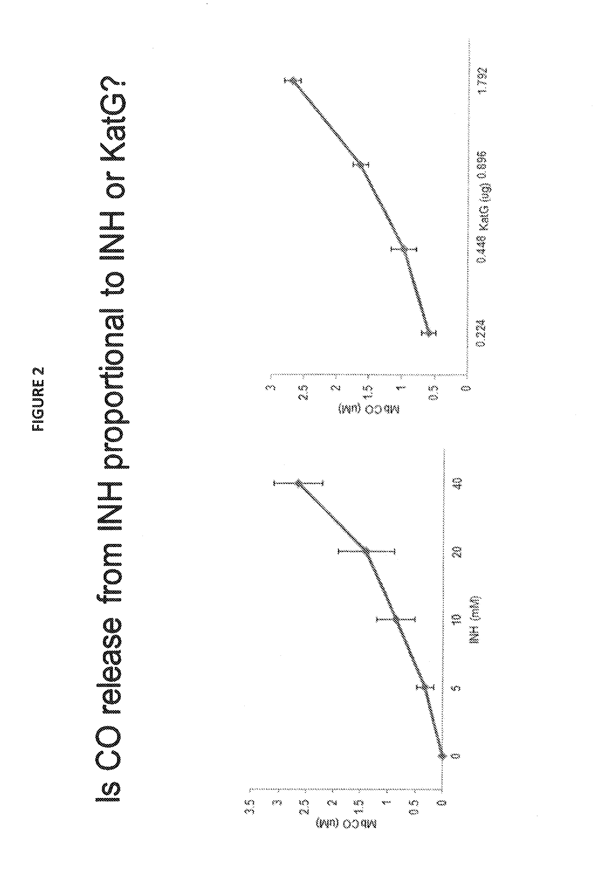 Magnetodynamic activation of 13c-acyl isoniazid and isoniazid and ethionamide derivatives