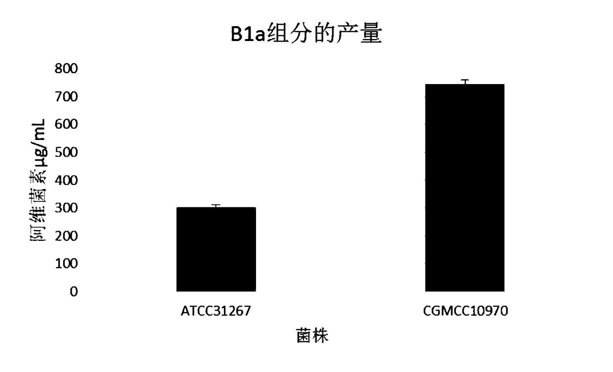 A kind of recombinant bacterium, its construction method and the method for improving avermectin output