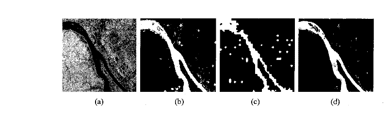 Synthetic aperture radar image segmentation method based on shear wave hidden Markov model