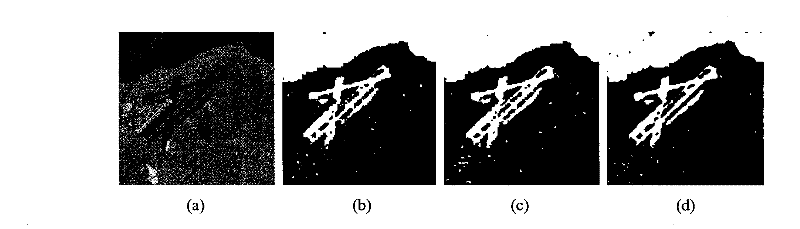 Synthetic aperture radar image segmentation method based on shear wave hidden Markov model